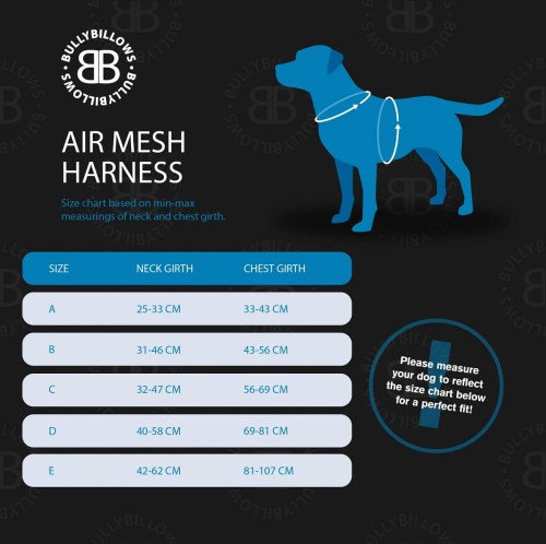 BullyBillows Air Mesh — tabela rozmiarów Air Mesh