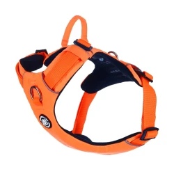 Lightweight Air Harness BullyBillows lekkie szelki z uchwytem dla psa pomarańczowe