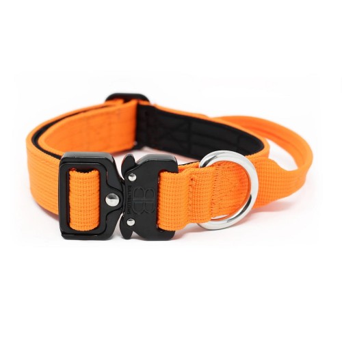 BullyBillows Combat 2,5 cm pomarańczowa – obroża z uchwytem