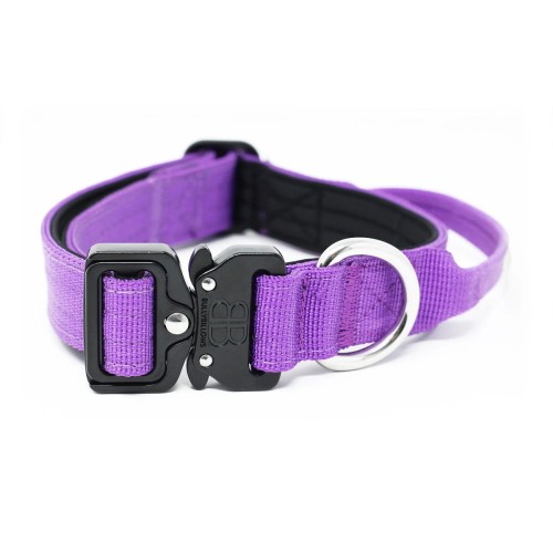 BullyBillows Combat 2,5 cm fioletowa – obroża z uchwytem