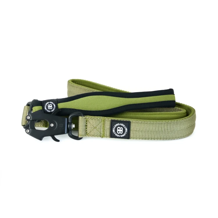 BullyBillows RR Nylon Combat Lead 120 cm – smycz khaki