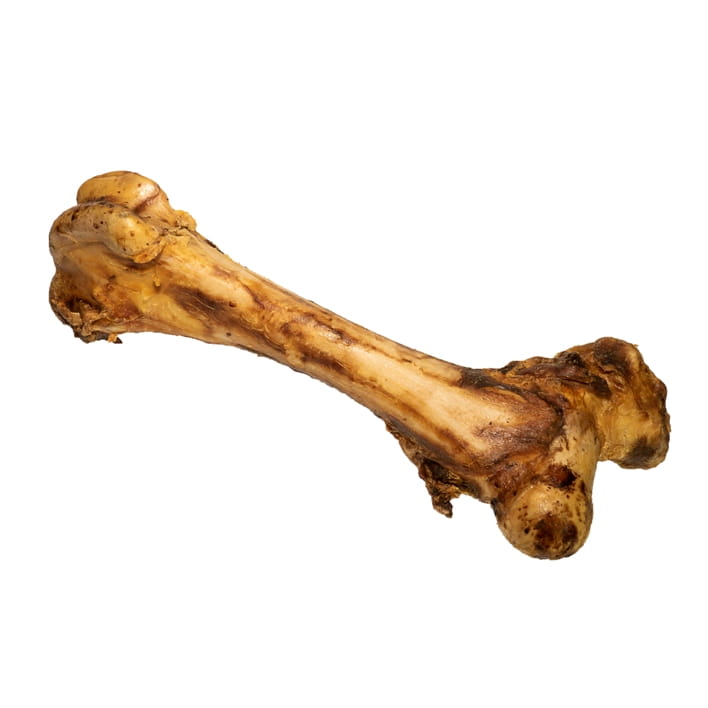 Kość wołowa z mięsem – gryzak luzem, długość 25–50 cm