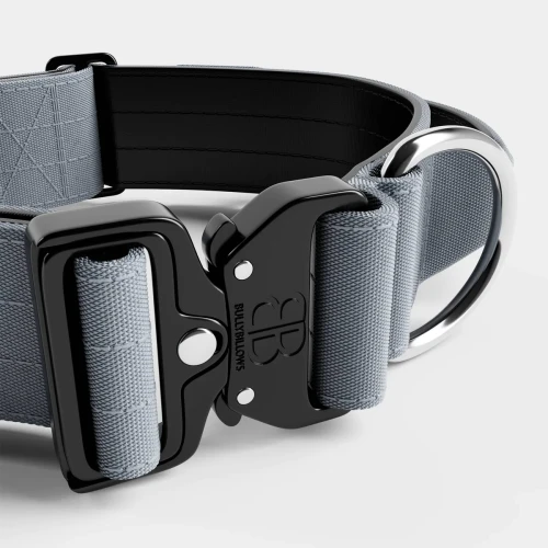 BullyBillows Combat Collar With Handle – szara obroża, szerokość 5 cm