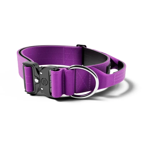 BullyBillows Combat Collar With Handle – obroża fioletowa, szerokość 5 cm