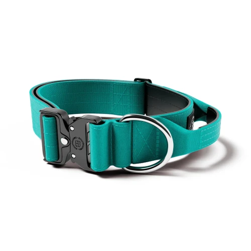 BullyBillows Combat Collar With Handle – obroża turkusowa, szerokość 5 cm