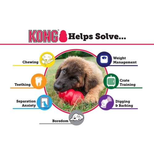 KONG — zabawka dla psa, grafika zastosowań zabawki KONG
