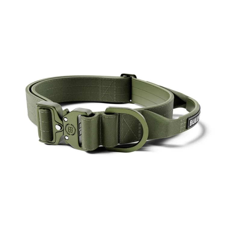 BullyBillows Light Combat 4 cm khaki – obroża z uchwytem