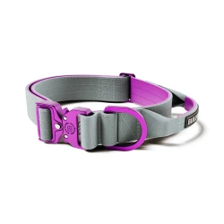 4cm Light Combat® Collar With Handle BULLYBILLOWS Lekka obroża dla psa z uchwytem fioletowo-szara