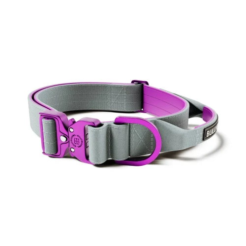 BullyBillows Light Combat 4 cm fioletowo-szara – obroża z uchwytem
