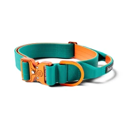 4cm Light Combat® Collar With Handle BULLYBILLOWS Lekka obroża dla psa z uchwytem turkusowo-pomarańczowa