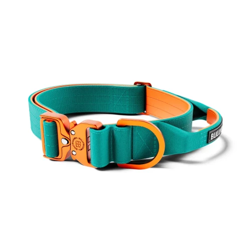 BullyBillows Light Combat 4 cm turkusowo-pomarańczowa – obroża z uchwytem