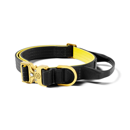 BullyBillows Light Combat 2,5 cm czarno-złota – obroża z uchwytem