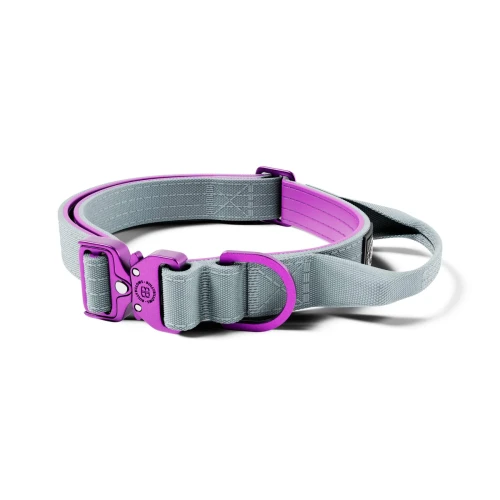 BullyBillows Light Combat 2,5 cm fioletowo-szara – obroża z uchwytem