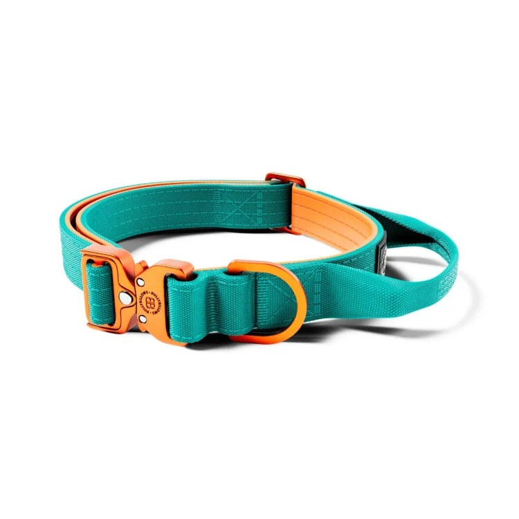 BullyBillows Light Combat 2,5 cm turkusowo-pomarańczowa – obroża z uchwytem