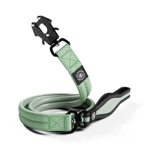 BullyBillows Herringbone RR Nylon Combat Lead 120 cm – smycz miętowa