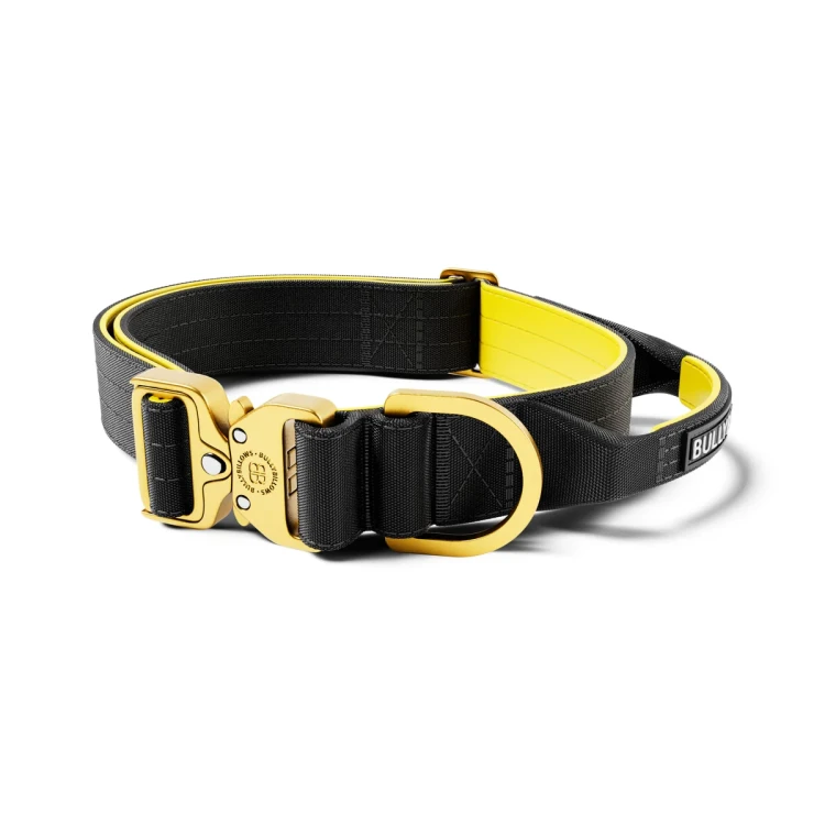 BullyBillows Light Combat 4 cm czarno-złota – obroża z uchwytem