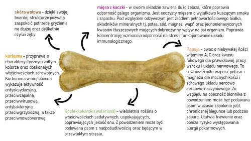 Gryzak Syta Micha w kształcie kości, otoczony strzałkami i tekstem opisującym jego składniki