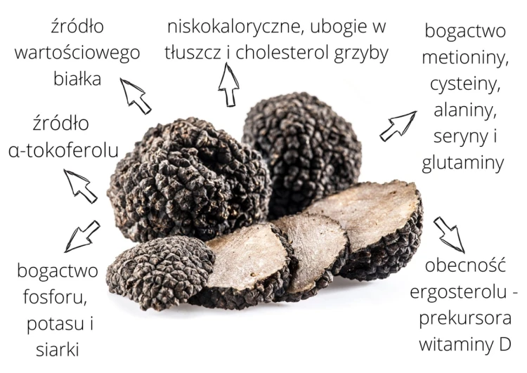 Ciemne kuliste przysmaki TrufLove i ich jasne przekroje na infografice opisującej składniki produktu