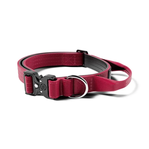 BullyBillows Combat 2,5 cm burgund – obroża z uchwytem