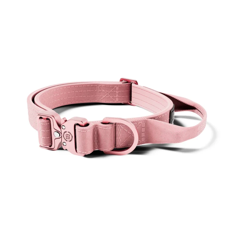 BullyBillows Light Combat 2,5 cm – różowa obroża z uchwytem