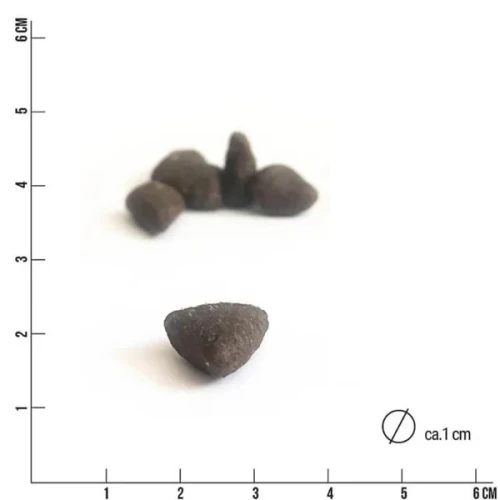Ciemne chrupki Tales & Tails pokazane przy podziałce centymetrowej; podpis wskazuje średnicę około 1 cm