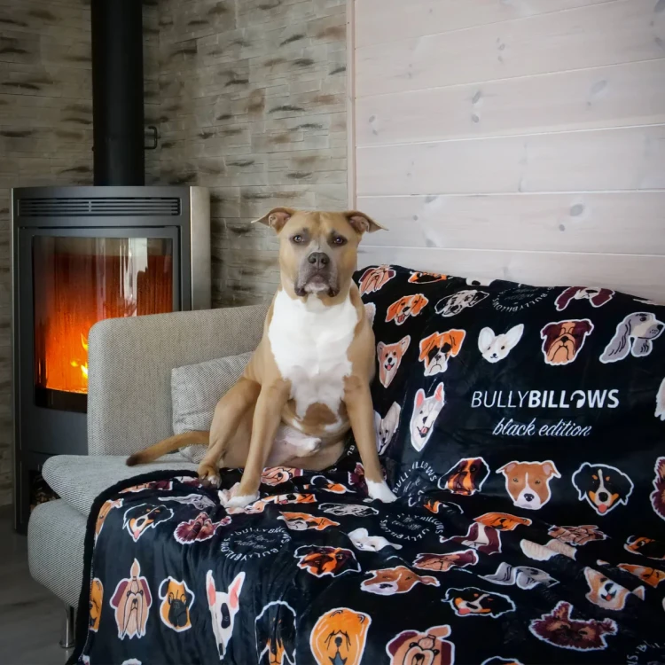 BullyBillows Luxury Dog & Human 1,9 × 1,5 m – czarny koc na fotelu