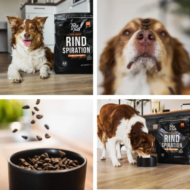 Czteroczęściowy kolaż Tales & Tails Rind Spiration: pies z workiem, zbliżenie pyska, karma wsypywana do miski i pies podczas posiłku