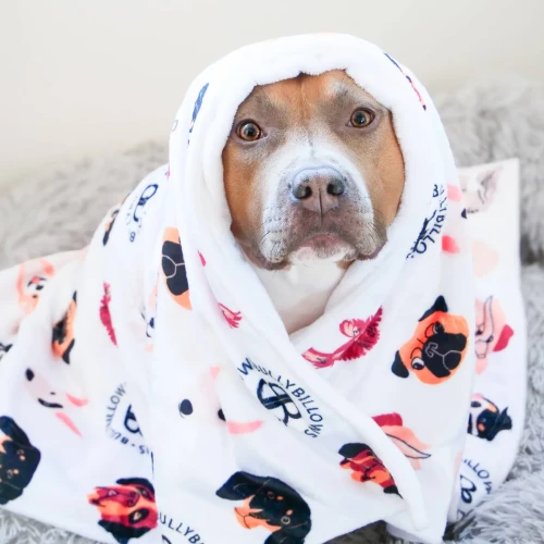 BullyBillows Luxury Dog & Human – biały koc 1,9 × 1,5 m