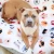 BullyBillows Luxury Dog & Human – biały koc 1,5 × 1,5 m