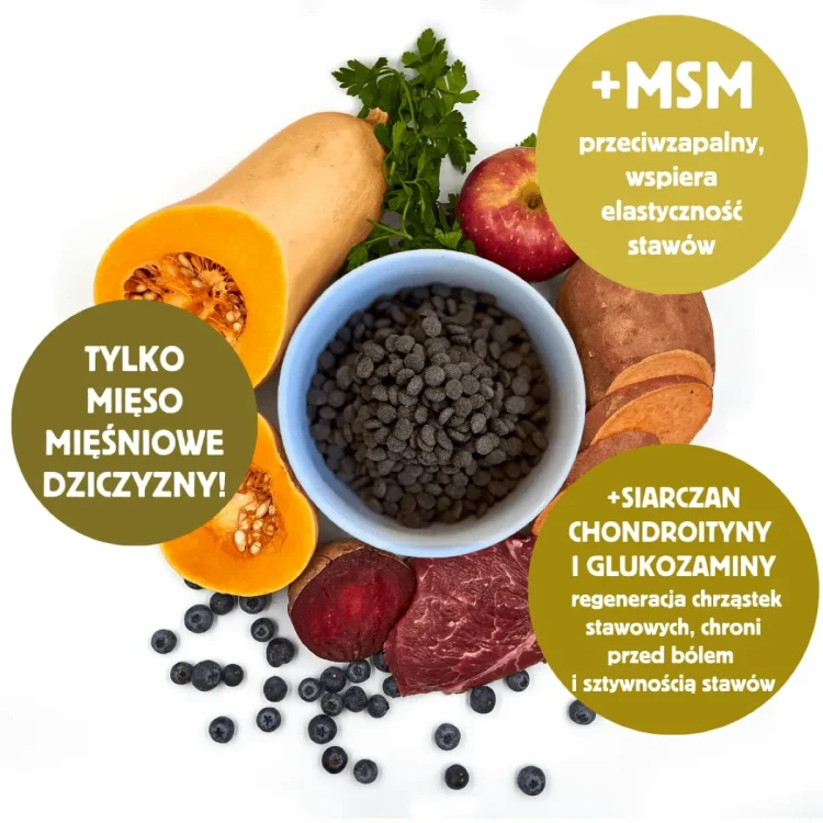 karma dla psa Slow Dog dziczyzna podana w misce