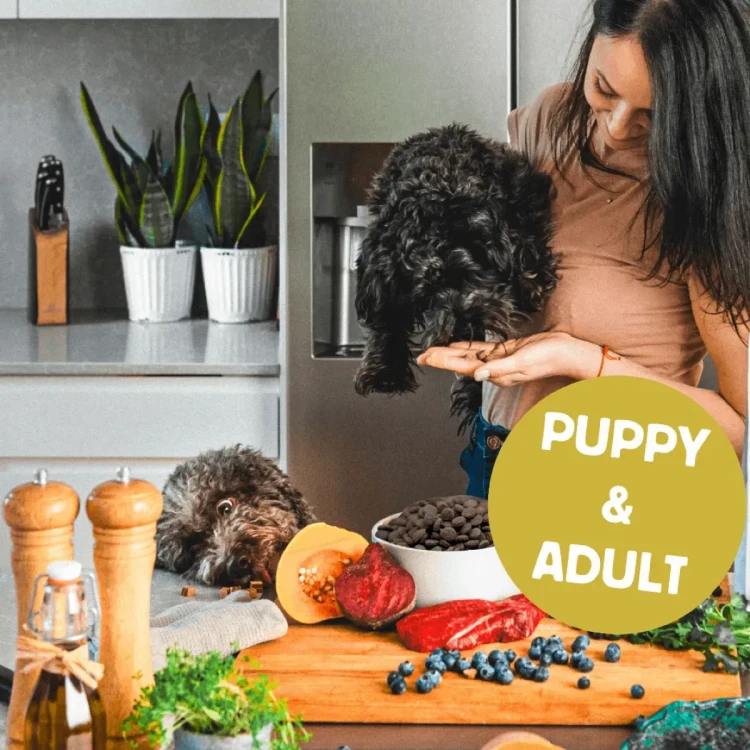 Kobieta trzyma czarnego psa nad stołem z karmą i składnikami; napis Puppy & Adult widnieje na złotym tle