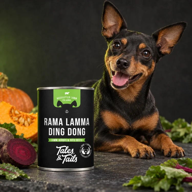 Jagnięcina 400 g — Z psem w stylistyce opakowania — Tales & Tails