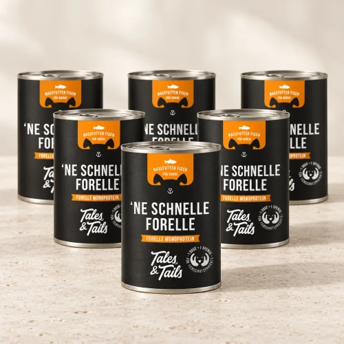 Pstrąg 6 × 400 g — Na jasnym tle — Tales & Tails