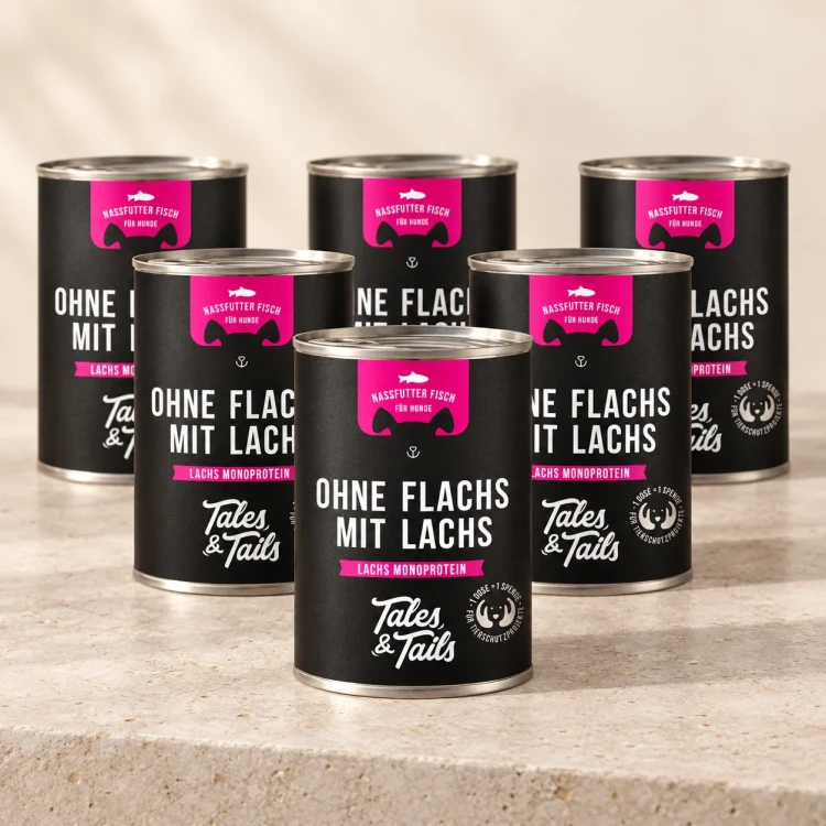 Łosoś 6 × 400 g — Na jasnym tle — Tales & Tails