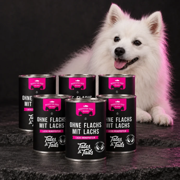 Łosoś 6 × 400 g — Z psem w stylistyce opakowania — Tales & Tails