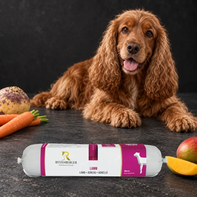 Ritzenberger Jagnięcina z warzywami Duo-Rolls 2 × 400 g – karma mokra dla psa — z psem