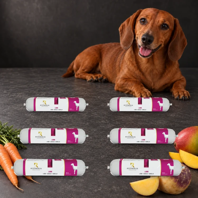 Ritzenberger Jagnięcina z warzywami 6 × 800 g – zestaw karmy mokrej dla psa — z psem