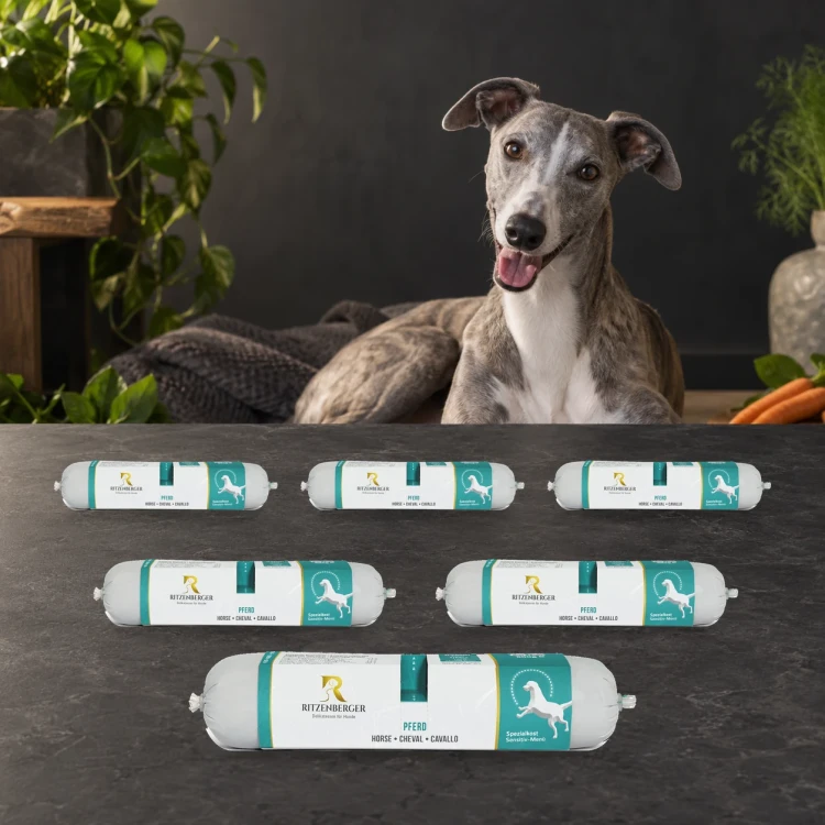 Ritzenberger Konina z ziemniakami Sensitiv 6 × 800 g – zestaw karmy mokrej dla psa — z psem