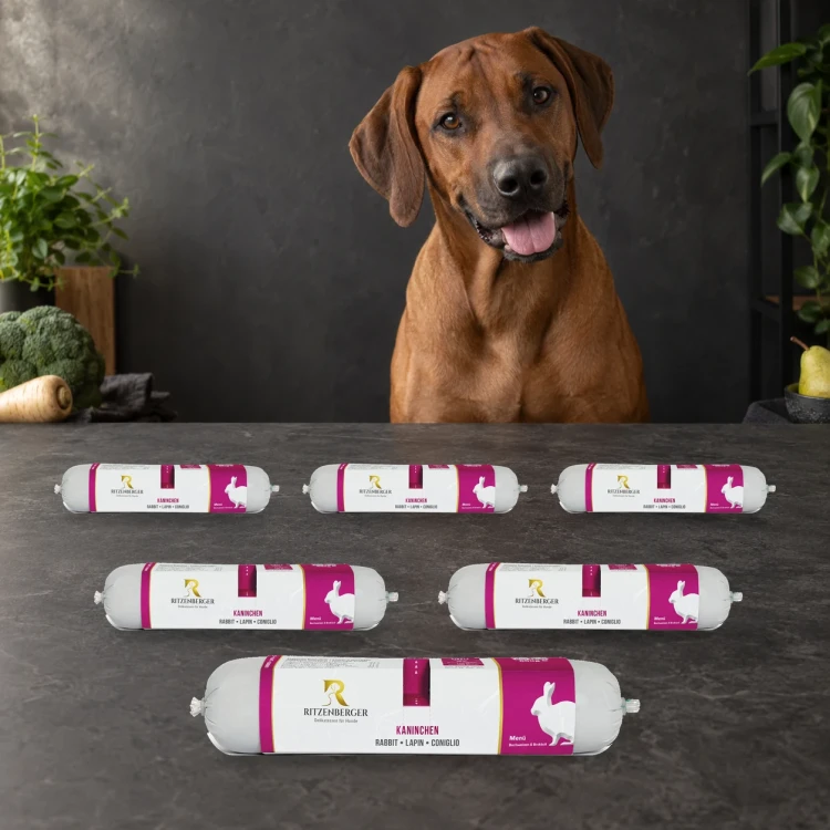 Ritzenberger Królik 6 × 800 g – zestaw karmy mokrej dla psa — z psem