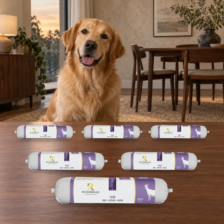 Ritzenberger Koza 6 × 800 g – zestaw karmy mokrej dla psa — w domu z psem