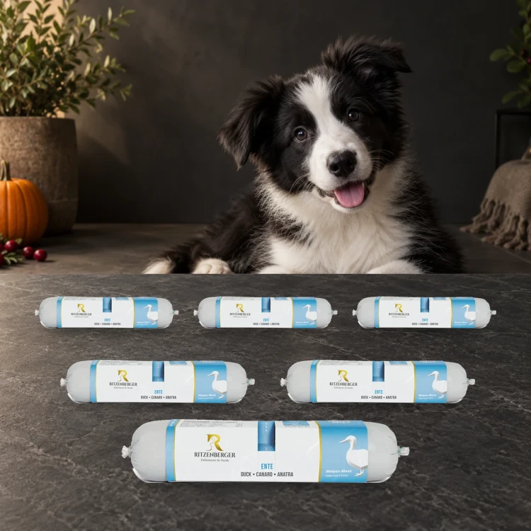 Ritzenberger Kaczka Puppy 6 × 800 g – zestaw karmy mokrej dla szczeniąt — z psem