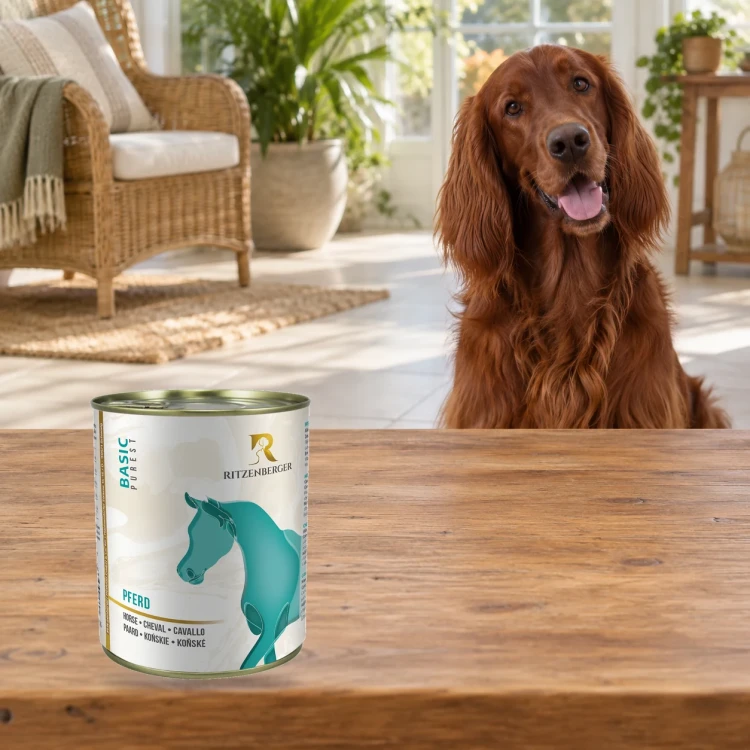 Ritzenberger Konina Sensitiv 800 g – karma mokra dla psa — w domu z psem