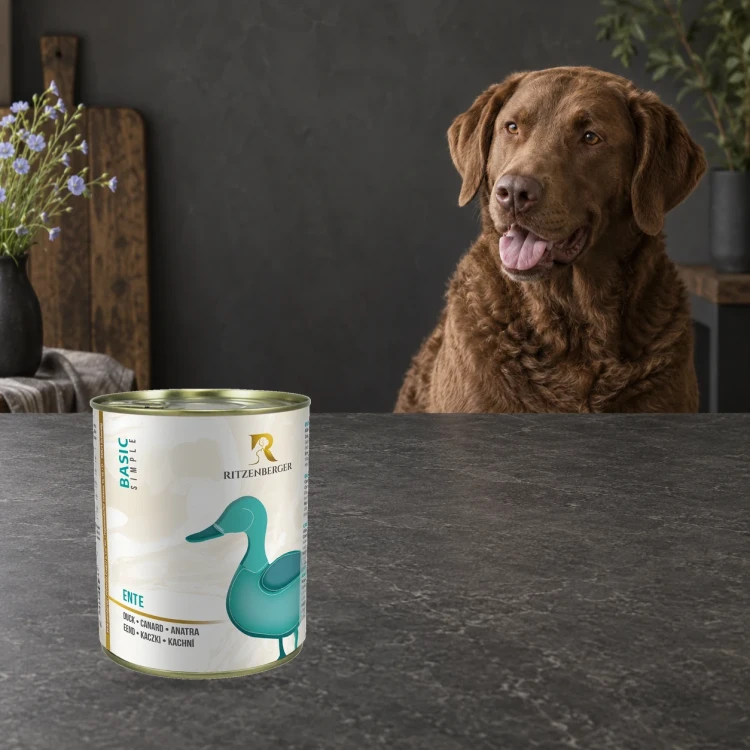 Ritzenberger Kaczka Sensitiv 800 g – karma mokra dla psa — z psem